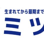 年末年始休業のお知らせ