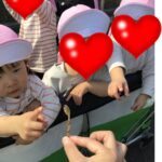 公園日和の１日😊🌷～仙台市太白区りっきーぱーく保育園あすと長町～