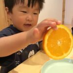 なにのフルーツかな❔🍊🍇🍎～仙台市太白区りっきーぱーく保育園長町～