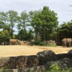 親子遠足😄✨～仙台市太白区りっきーぱーく保育園あすと長町～