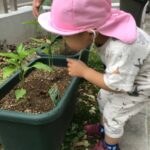 土曜保育🎵～仙台市太白区りっきーぱーく保育園あすと長町～