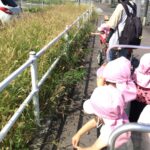 お散歩😎✨～仙台市太白区りっきーぱーく保育園あすと長町～