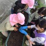 種まきを行いました🪴✨～仙台市太白区りっきーぱーく保育園あすと長町～