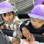 どんぐりみーつけたっ❕✨～仙台市太白区りっきーぱーく保育園長町～