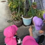 いろんなみーつけた❕👀✨～仙台市太白区りっきーぱーく保育園長町～