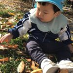 落ち葉がいっぱい🍂～仙台市太白区りっきーぱーく保育園長町～
