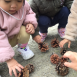 🌈元気に戸外遊び🍂～仙台市太白区りっきーぱーく保育園あすと長町～