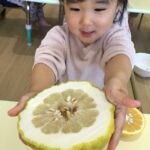 食育活動をしました🍊♪～仙台市太白区りっきーぱーく保育園あすと長町～