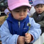 🍊あけましておめでとうございます🎍✨～仙台市太白区りっきーぱーく保育園あすと長町～