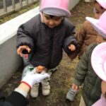 🌷チューリップの球根を植えました👏🌷～仙台市太白区りっきーぱーく保育園あすと長町～