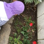 アリさん発見✨～仙台市太白区長町りっきーぱーく保育園～