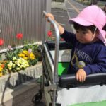 お花をいっぱい見つけました🌷🌷仙台市太白区～りっきーぱーく保育園あすと長町～