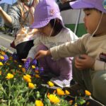 アリさんの観察🎶🐜～仙台市太白区長町りっきーぱーく保育園～