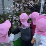 春がやってきました♪🌸～仙台市太白区りっきーぱーく保育園あすと長町～