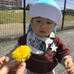 お外で春をいっぱい見つけてきました🌼🌱🤗～仙台市太白区りっきーぱーく保育園長町～