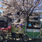 お花見に行ってきました🌸～～仙台市太白区りっきーぱーく保育園長町～