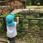 親子遠足🎶🐏💗～仙台市太白区りっきーぱーく保育園長町～